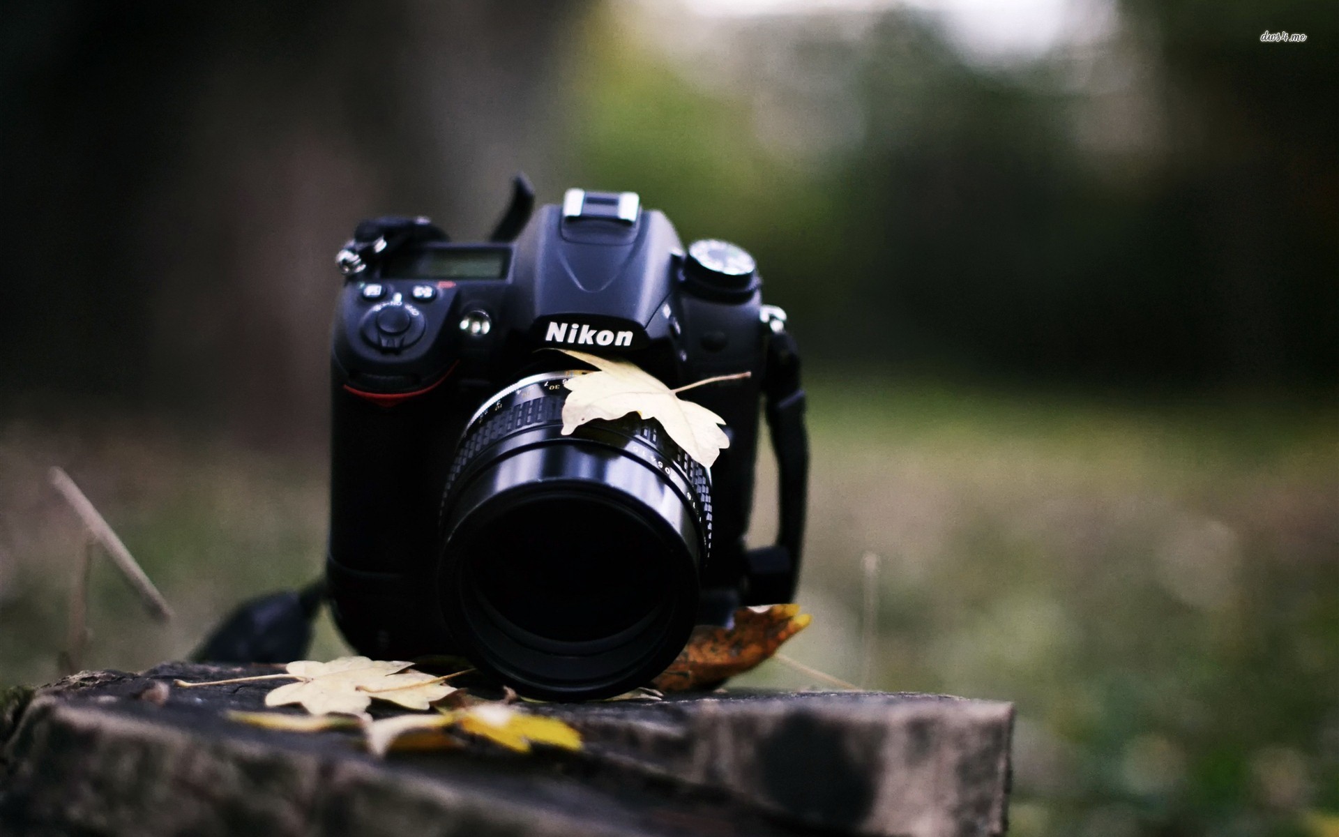 Photography Camera Wallpaper - HD Wallpaper 
