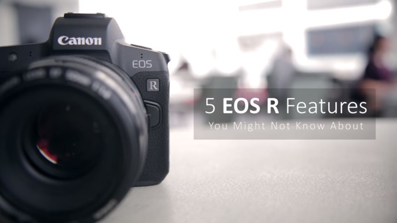 canon eos m50 focus peaking