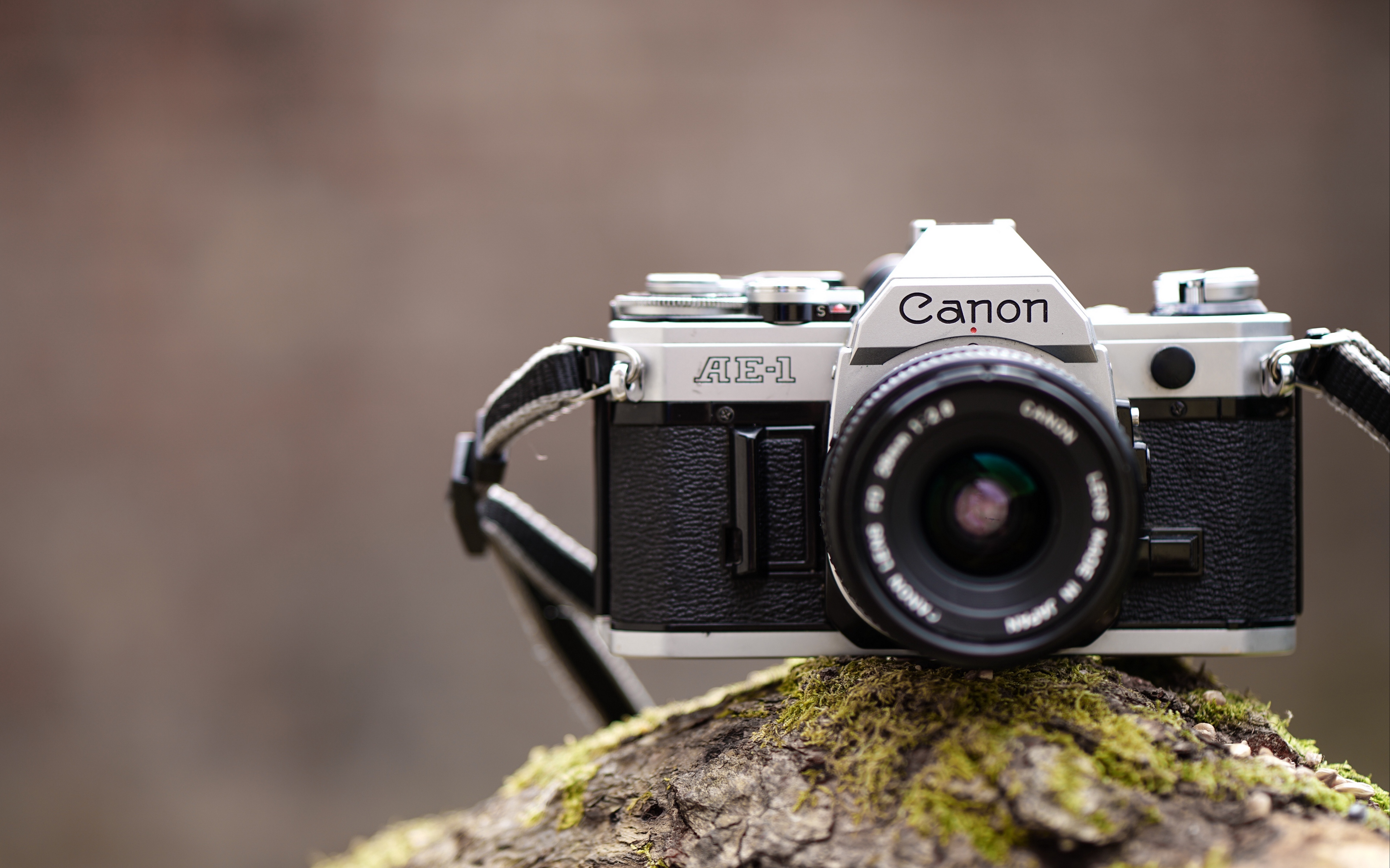 Wallpaper Canon, Camera, Lens - Canon Wallpaper 4k - HD Wallpaper 