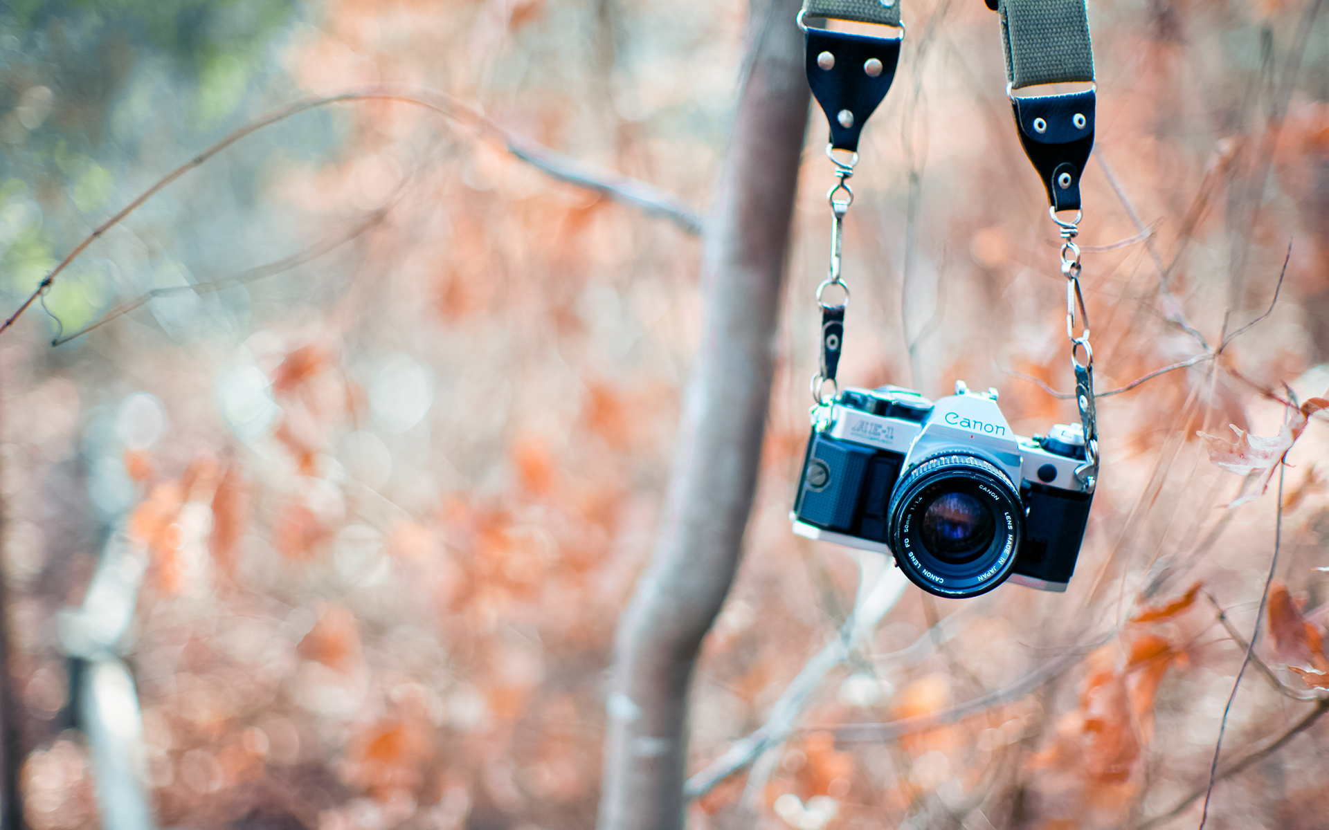 ถ่าย สิ่งของ สวย ๆ - HD Wallpaper 