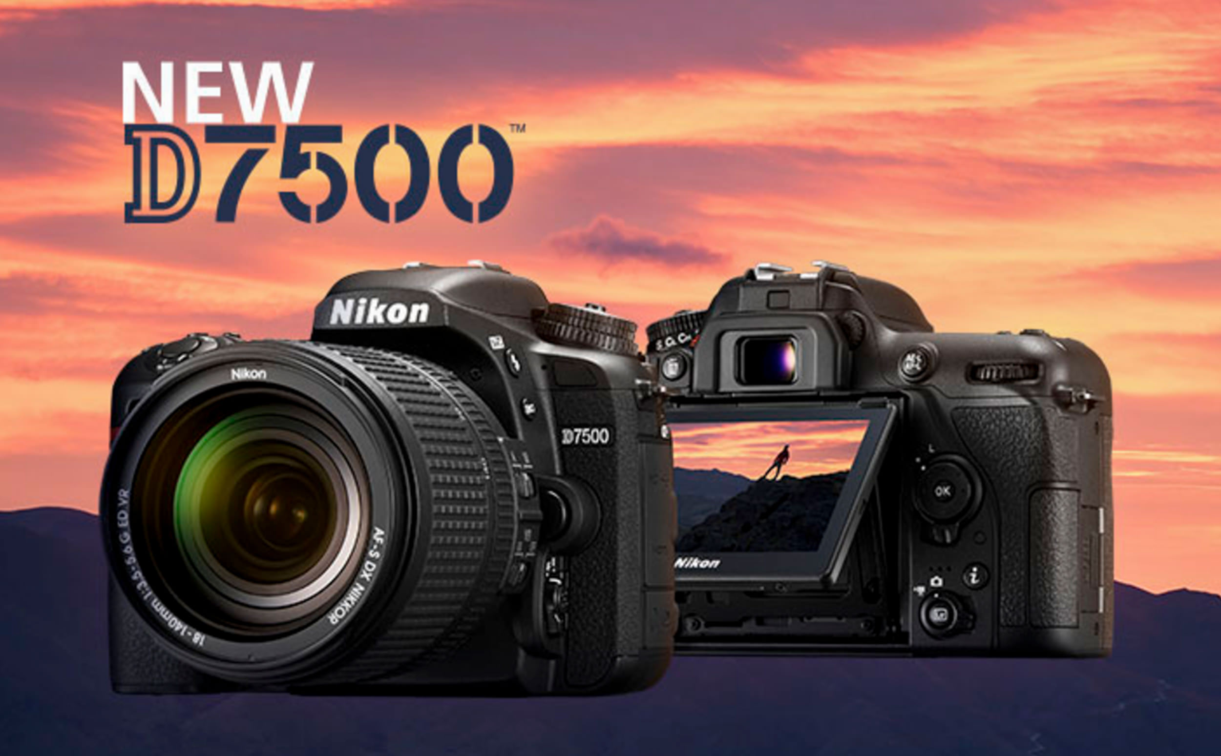 Nikon D7500 Photo Samples - HD Wallpaper 