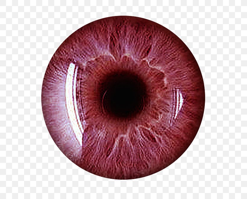 Desktop Wallpaper Eye Contact Lenses, Png, 689x660px, - Red Eye Lens Png - HD Wallpaper 