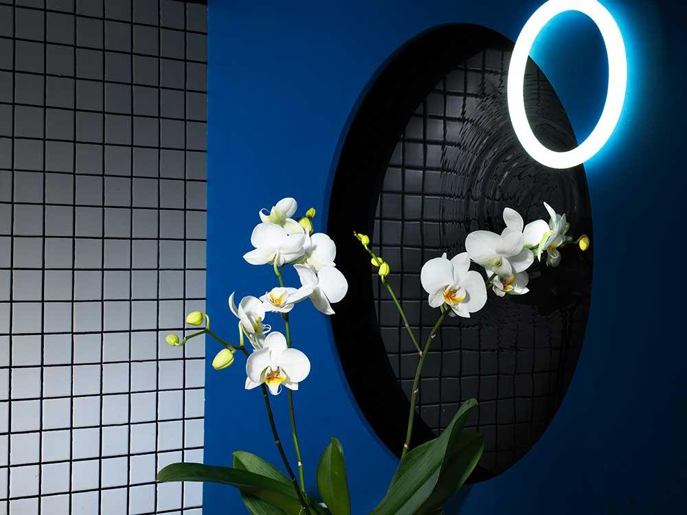 Scifi Landscape, By Lydia Whitmore - Moth Orchid - HD Wallpaper 