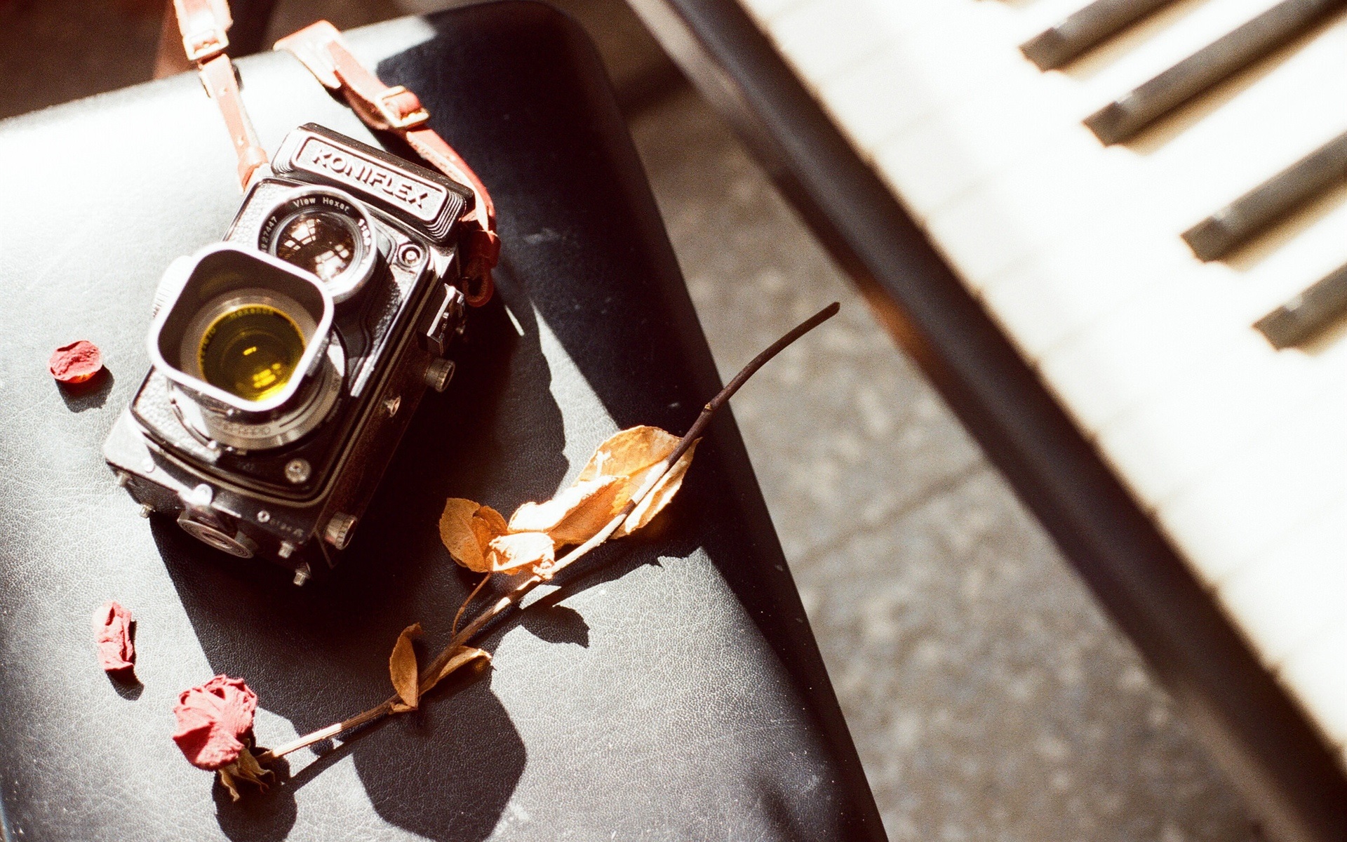 Wallpaper Koniflex Camera, Lens, Leaves, Piano, Retro - Camera And Piano - HD Wallpaper 