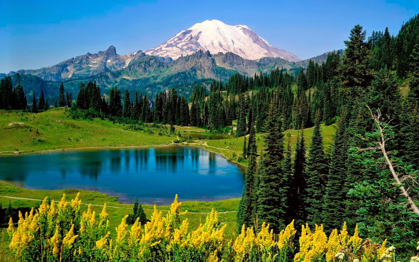 Hd Wallpaper Download For Pc - Mount Rainier National Park, Sunrise Lake - HD Wallpaper 