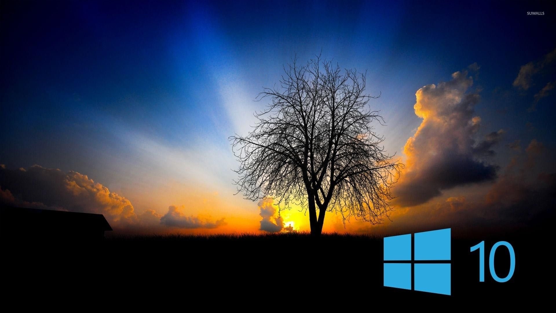 Cool Windows 10 Wallpapers Wallpaper Cave Throughout - Background Windows  10 Wallpaper Hd - 1920x1080 Wallpaper 