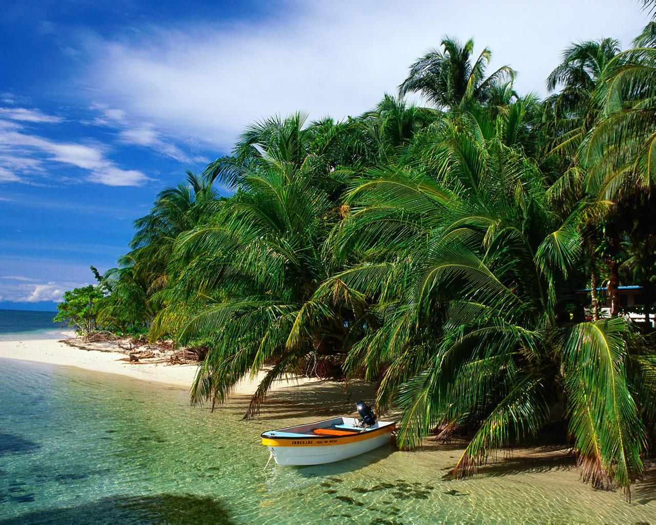 Pristine Beauty Of The Nature 1280*1024 No - Playas En Bocas Del Toro - HD Wallpaper 