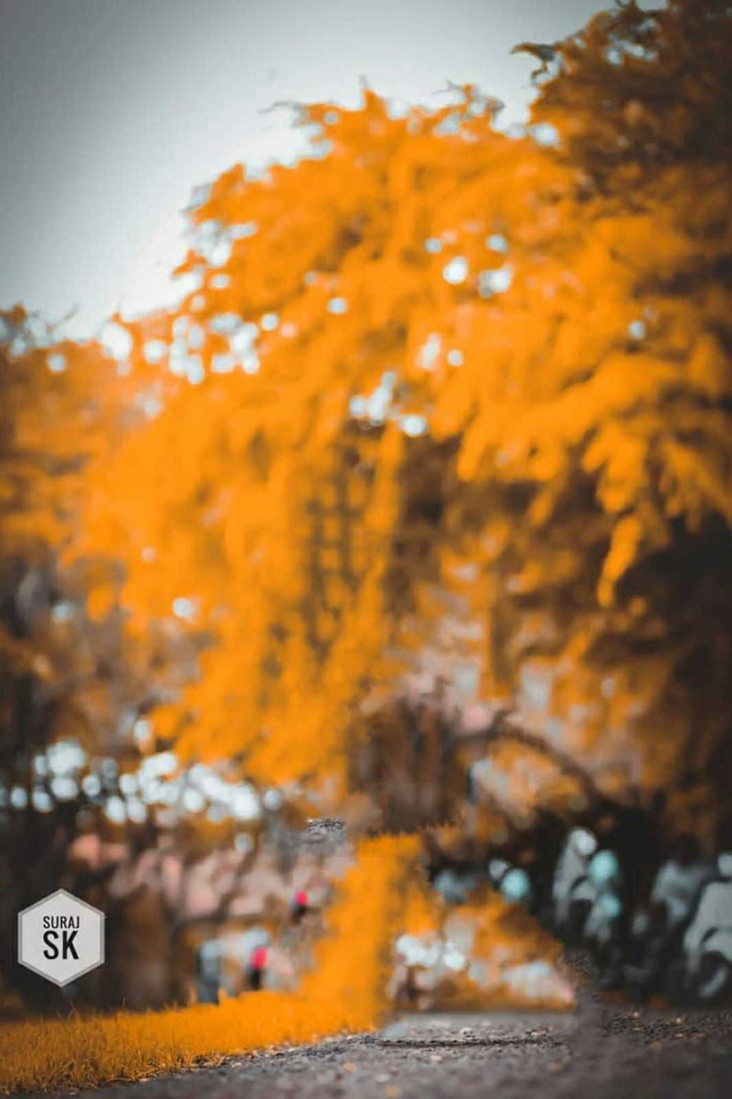Aqua And Orange Preset Image Download - 1066x1600 Wallpaper - teahub.io