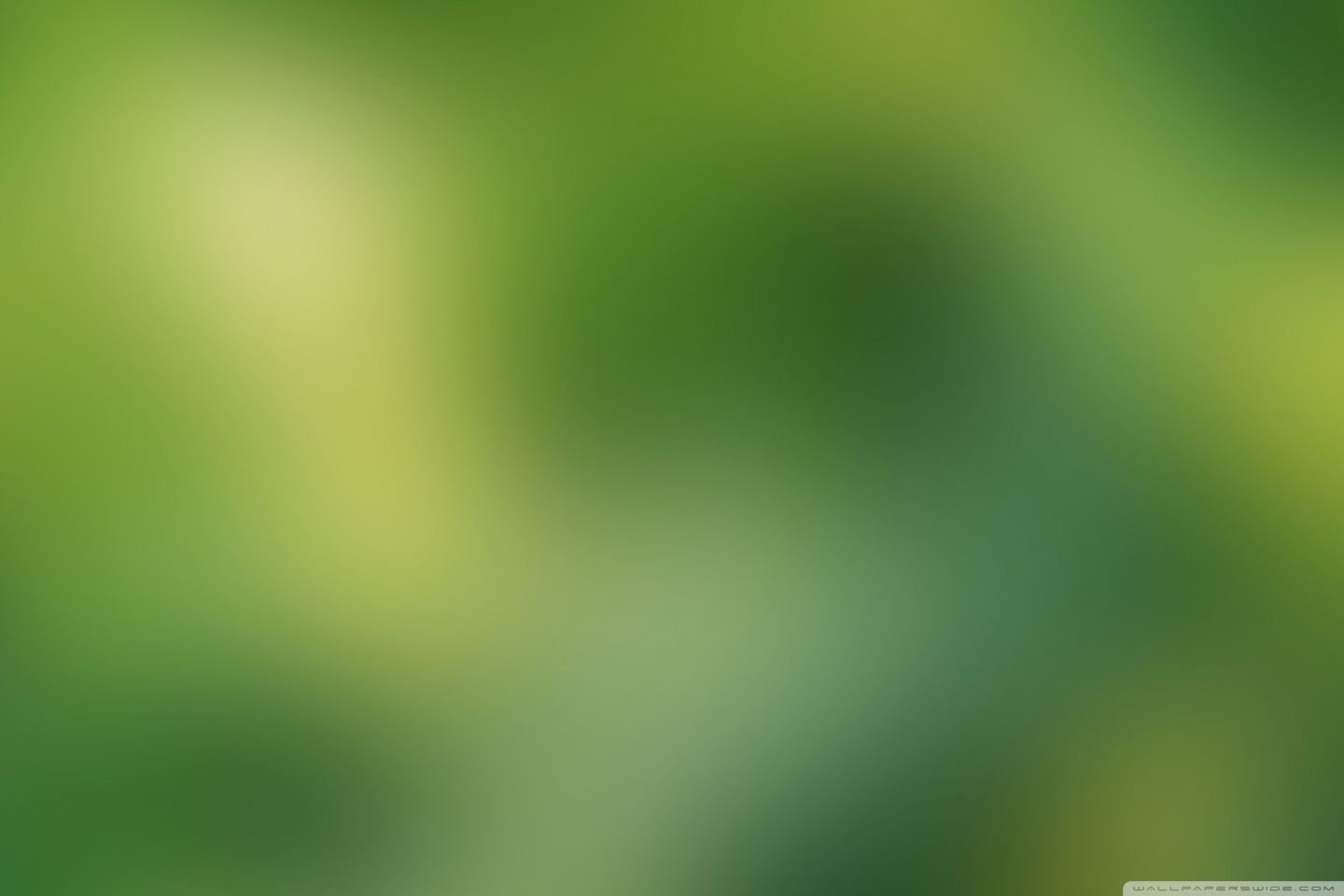 Blur Background Hd - HD Wallpaper 