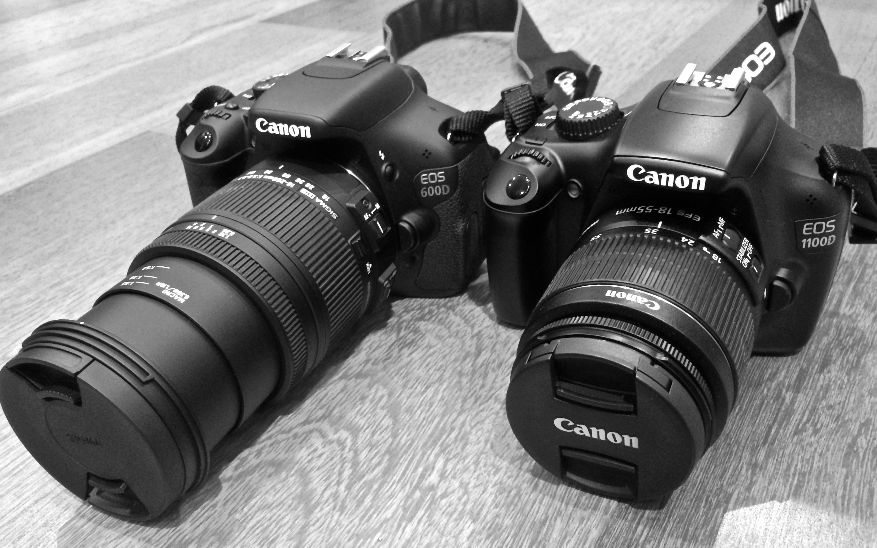 Hd Wallpaper - Canon 600d Vs 1100d - HD Wallpaper 