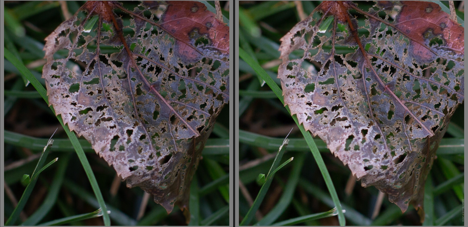 Mobile Phones Versus Dslrs - Dslr Vs Mobile Camera - HD Wallpaper 