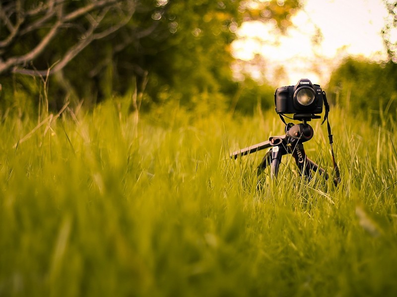 Canon Camera Photography Wallpaper - Fondos De Pantalla Hd Canon - HD Wallpaper 