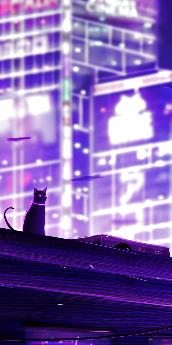 Purple Iphone Wallpaper Cats - HD Wallpaper 