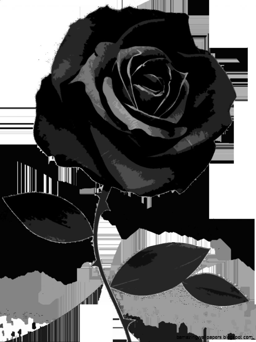 Black And White Rose Wallpaper Wallpapersafari - Black Flowers Transparent Background - HD Wallpaper 