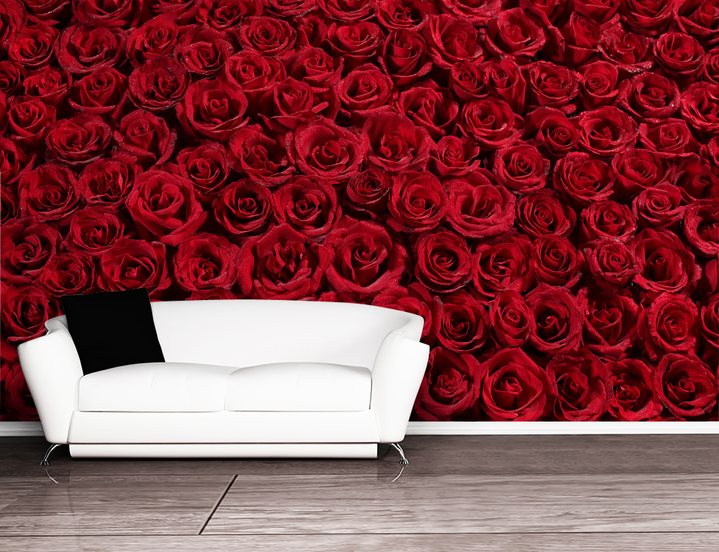 Romantic Red Rose Wallpaper Designs For Living Room - Peruzzi Only One - HD Wallpaper 