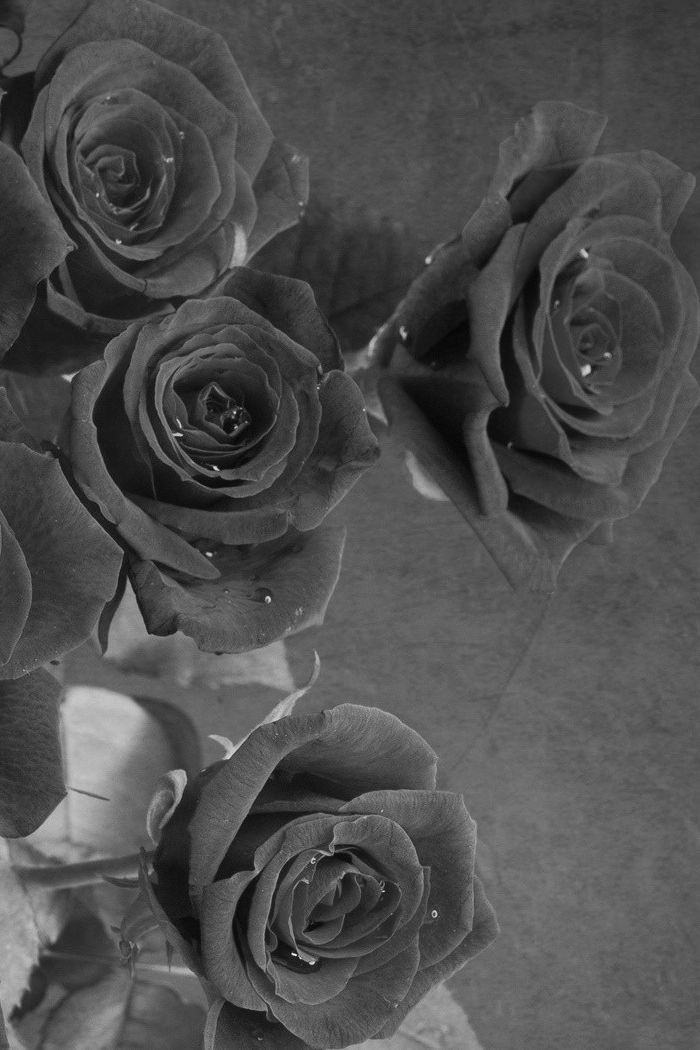 Black And White Rose Wallpaper Iphone - Good Night Images Flowers Hd - HD Wallpaper 