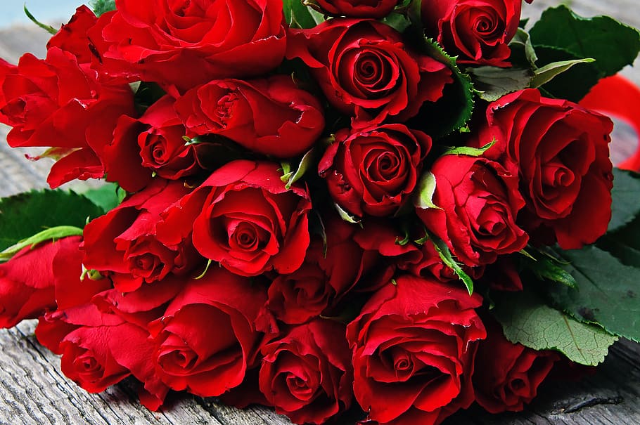 Red Rose, Red Rose Bouquet, Valentine S, Valentine - Hình Ảnh Hoa Hồng - HD Wallpaper 