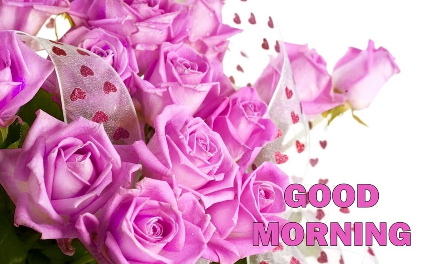 Good Morning Beautiful Pink Roses Bucket Hd Wallpapers - Beautiful Pink Rose Hd - HD Wallpaper 