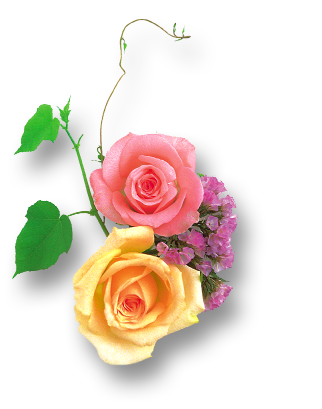 Pink And Yellow Rose Png - HD Wallpaper 