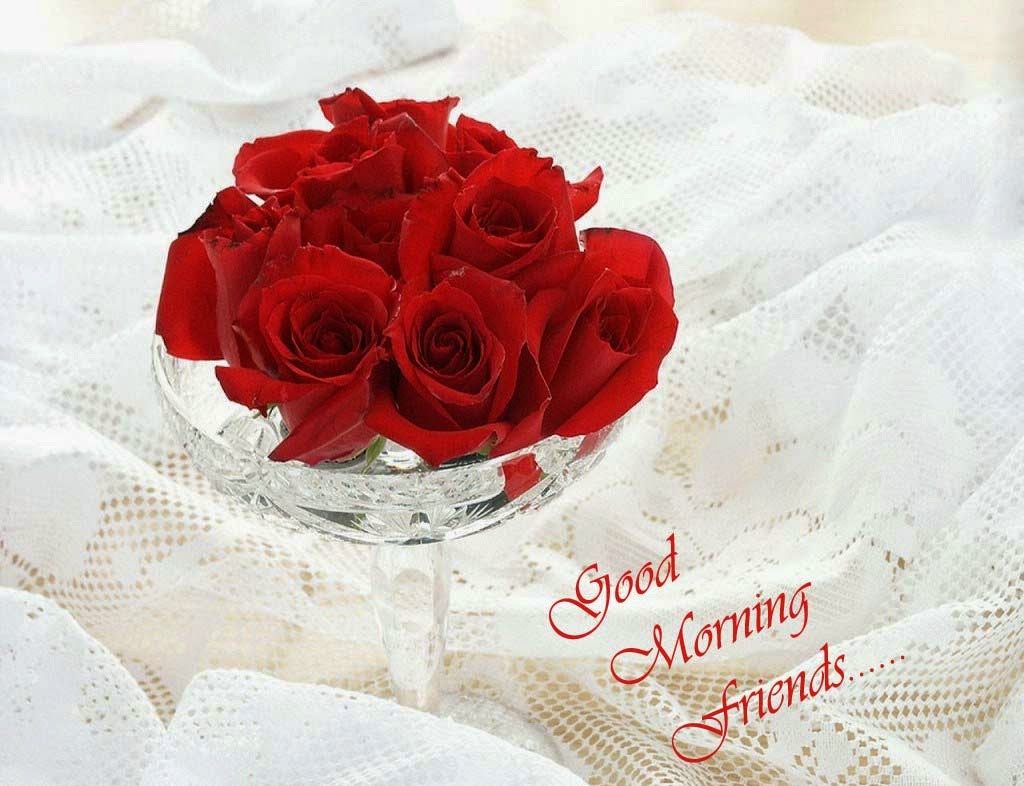 Good Evening Rose Wallpaper - Rose Good Morning Wishes - HD Wallpaper 