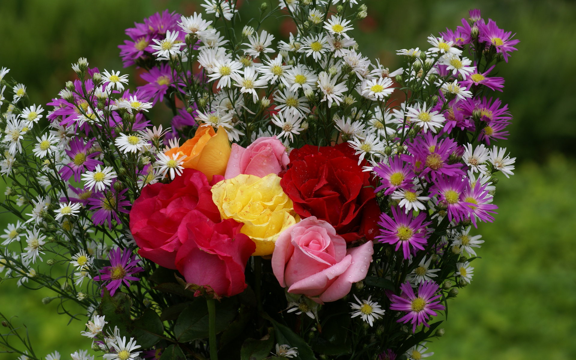 Beautiful Bouquet - HD Wallpaper 