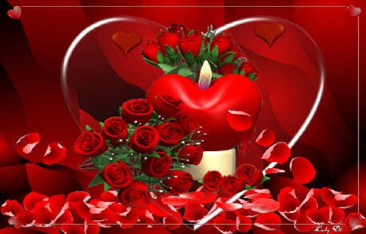 Red Rose I Love You - HD Wallpaper 