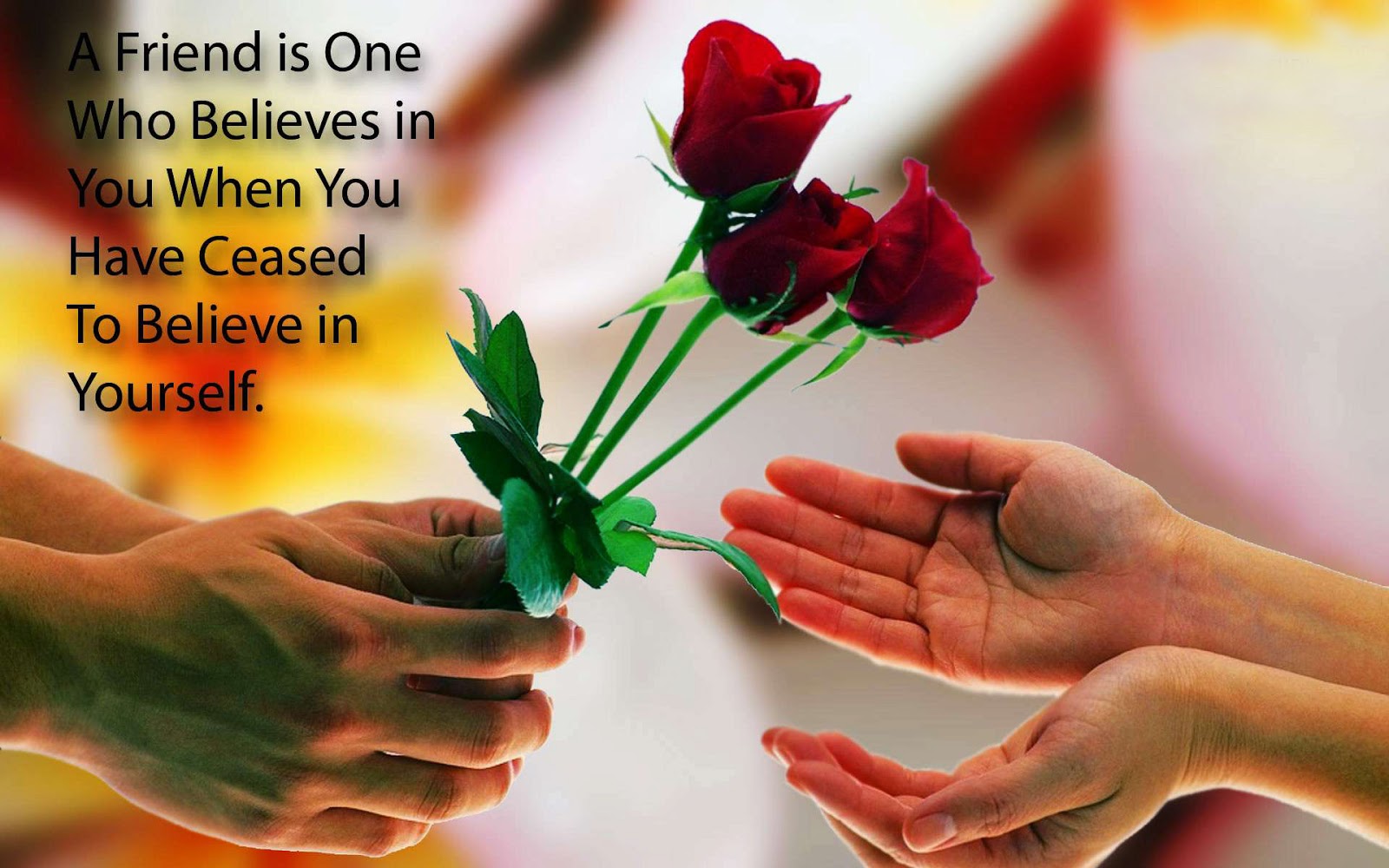 Rose Flower With Friendship Quotes Wallpaper - Beautiful Images Of Friendship Free Download - HD Wallpaper 