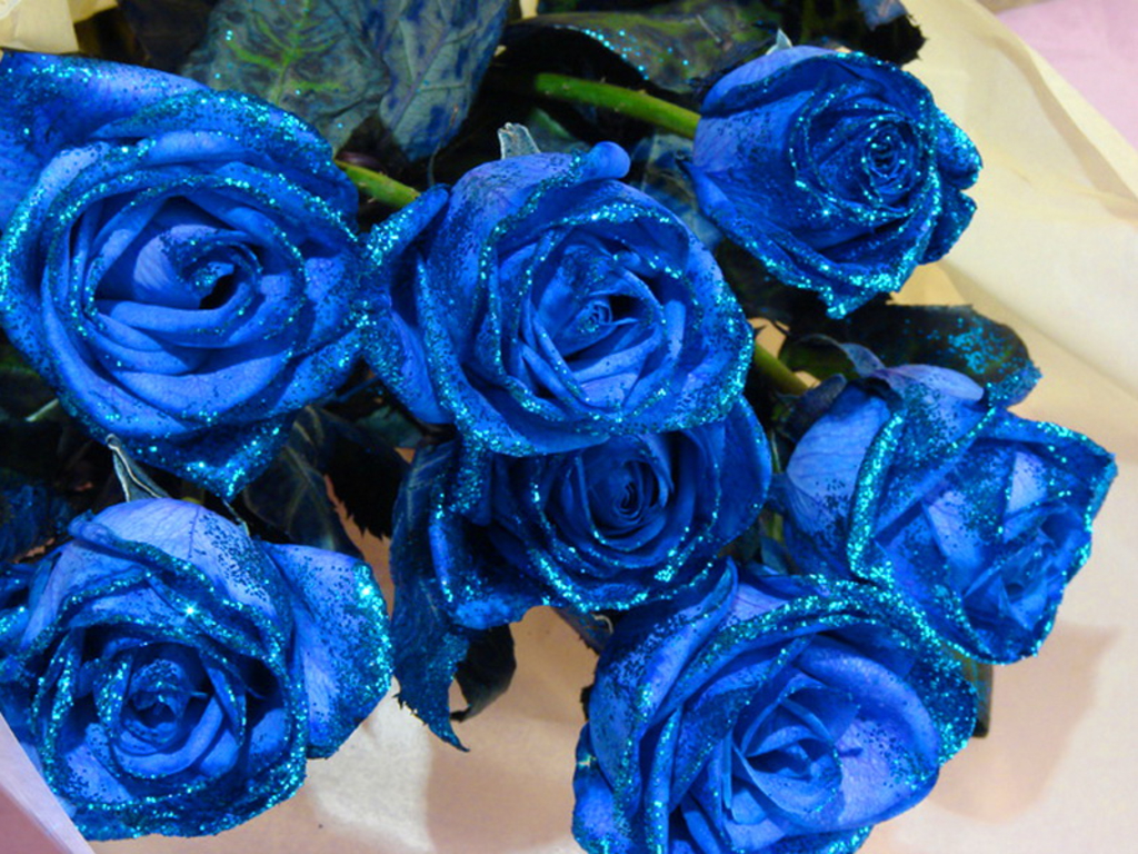 Blue Roses For My Fairy Sister♥ - Blue Roses Bouquet Hd - HD Wallpaper 