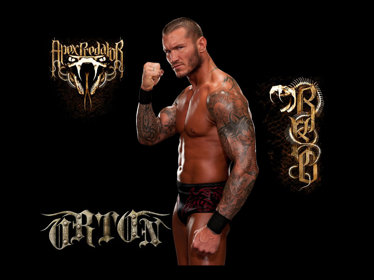 Champion Randy Orton Hd Wallpaper - Randy Orton - 1280x960 Wallpaper -  