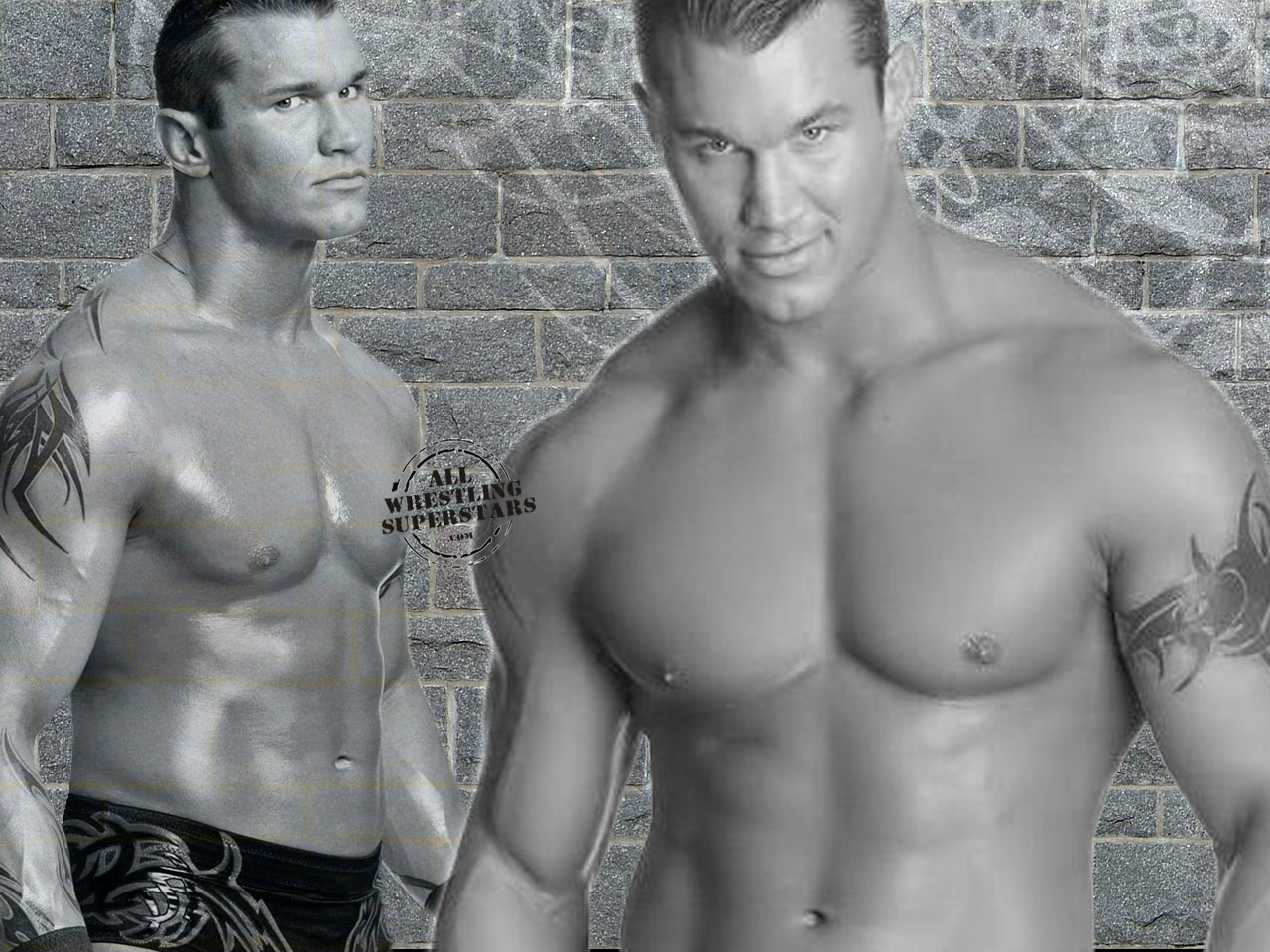 Wwe Randy Orton - HD Wallpaper 