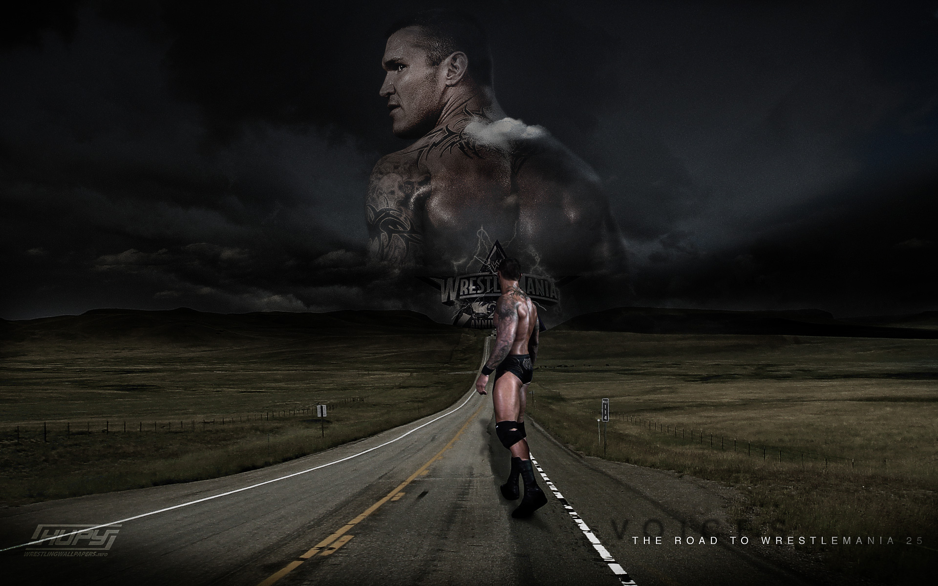 Randy Orton Wallpaper 2010 - HD Wallpaper 