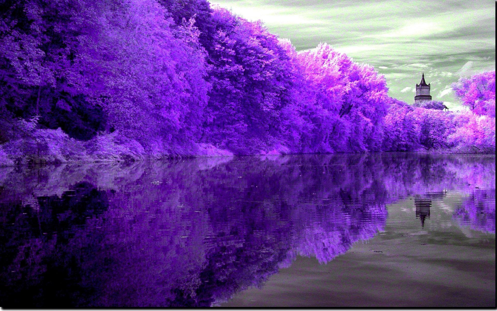 Purple Nature Wallpaper Hd - HD Wallpaper 