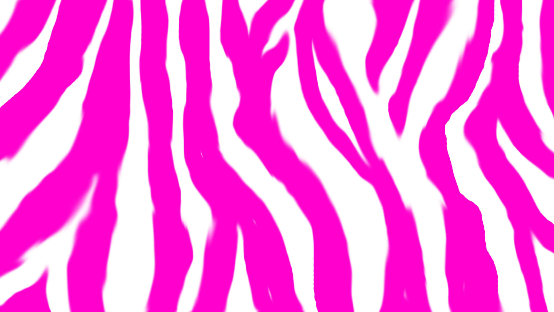 Pink Zebra Desktop Background 
 Data-src - Dolph Ziggler Show Off - HD Wallpaper 