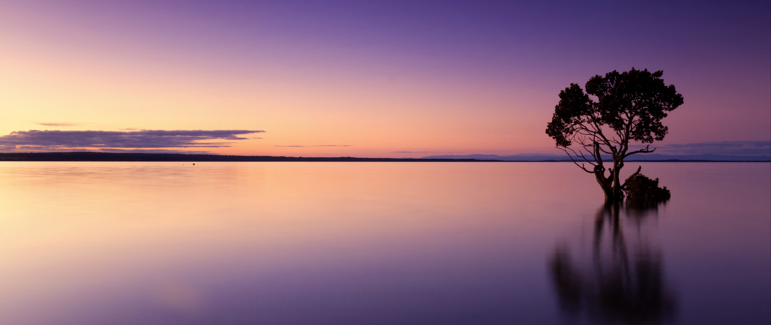 Wallpaper Sunset, Tree, Lake, Sky, Water, Evening, - 1080p Dual Monitor Wallpaper Sunset Purple - HD Wallpaper 