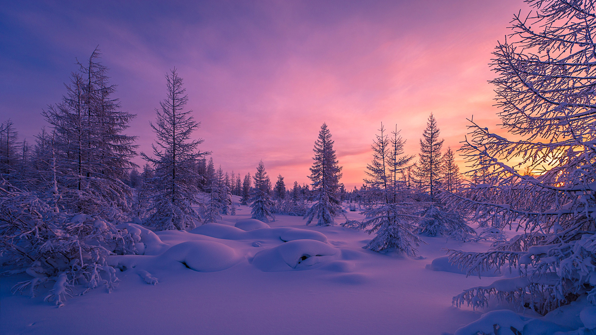 Download Original Wallpaper Category - Winter Sunset - 1920x1080 Wallpaper  