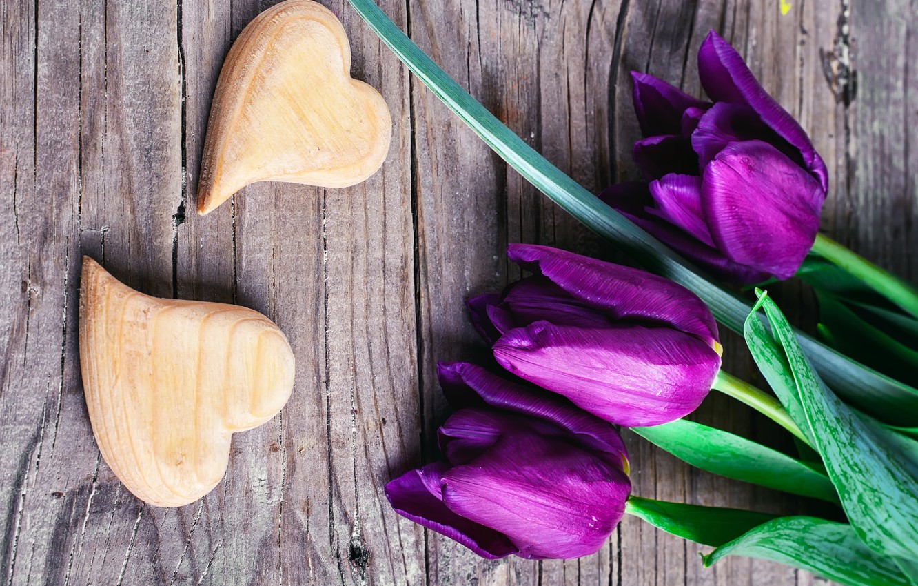 Photo Wallpaper Love, Heart, Purple, Tulips, Love, - Tulip - HD Wallpaper 