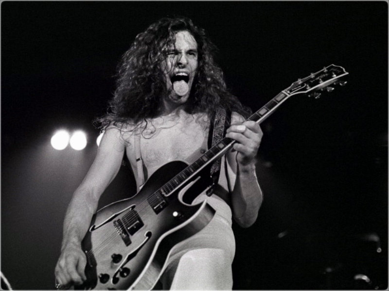 ★ Ted Nugent ☆ - 70's Young Ted Nugent - HD Wallpaper 