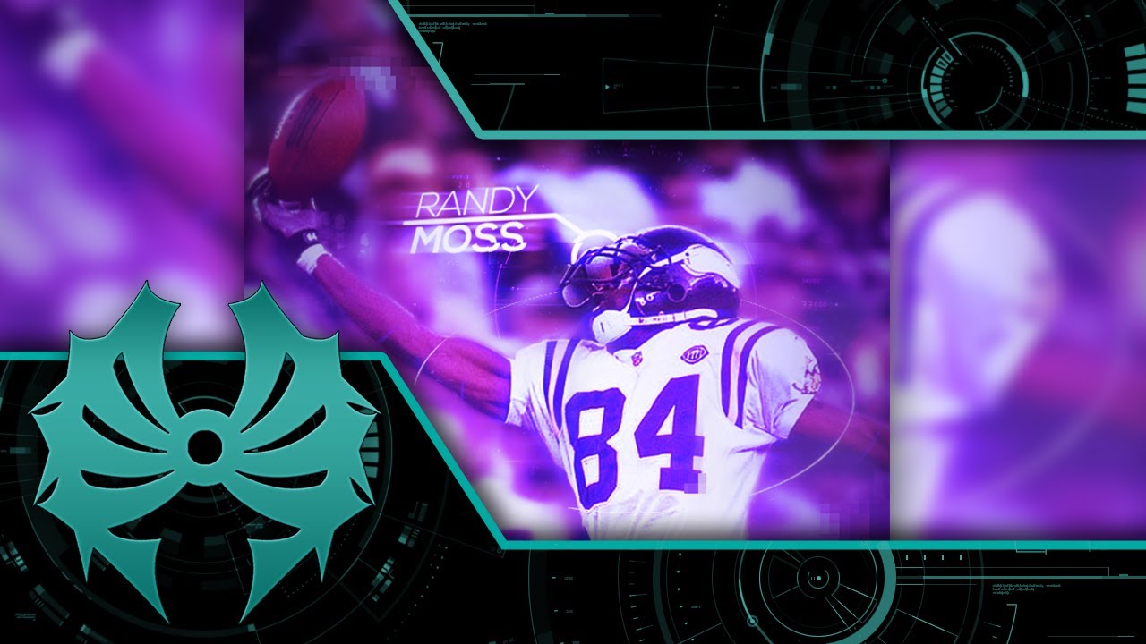 Insect - HD Wallpaper 