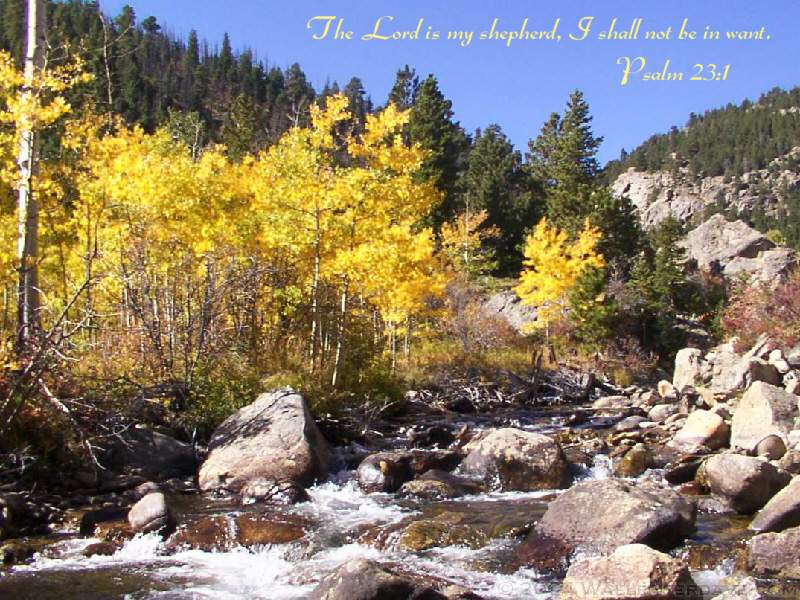 Tributary - HD Wallpaper 