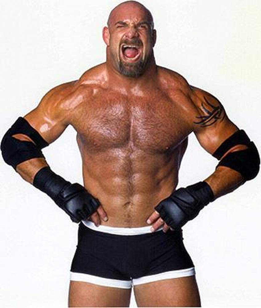 Bill Goldberg - HD Wallpaper 