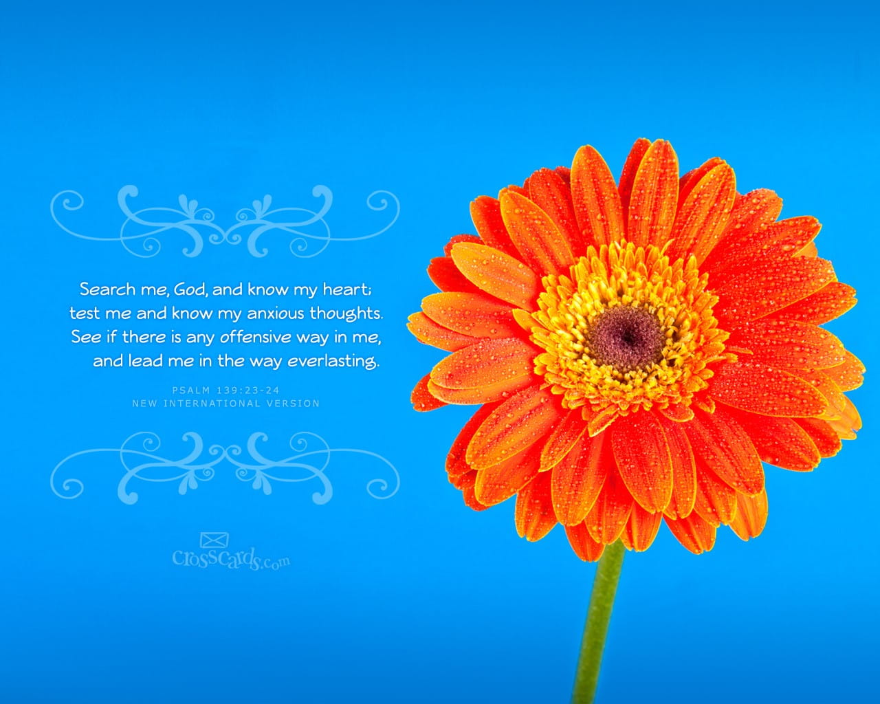 Bible - HD Wallpaper 