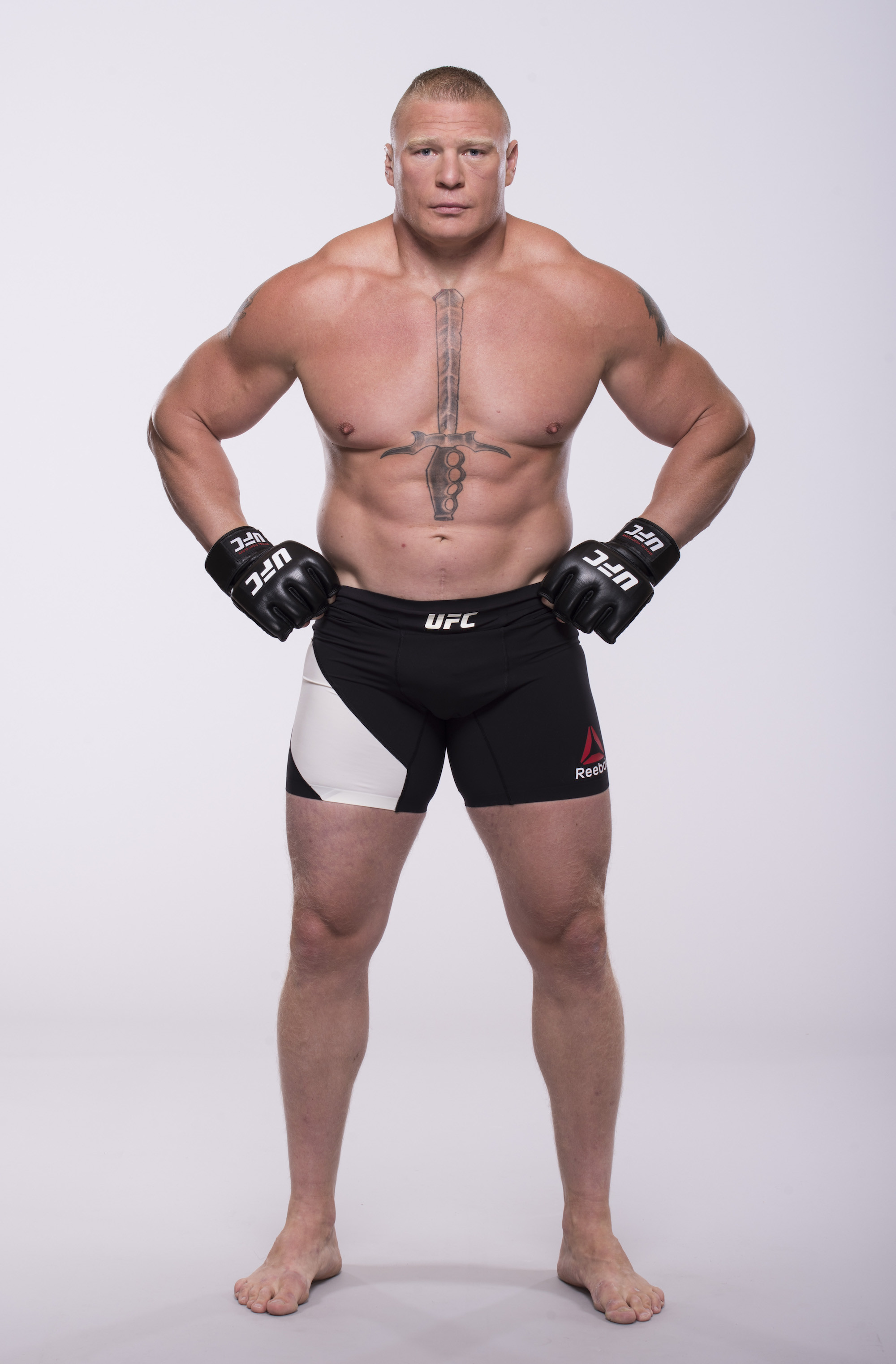 Brock Lesnar Full Body - HD Wallpaper 
