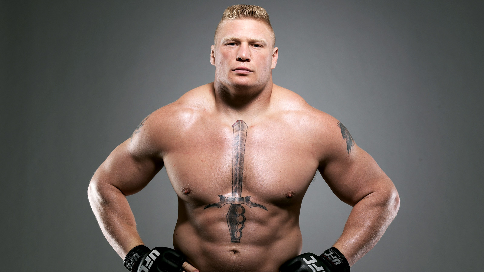 Brock Lesnars - HD Wallpaper 