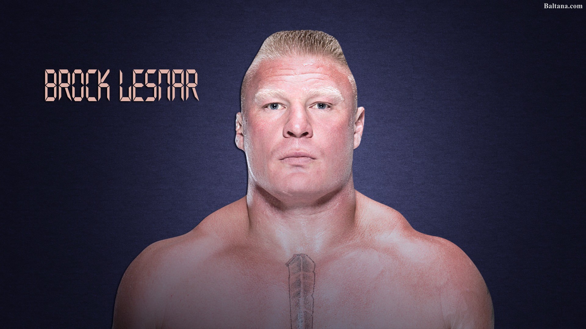 Brock Lesnar Widescreen Wallpapers - Barechested - HD Wallpaper 