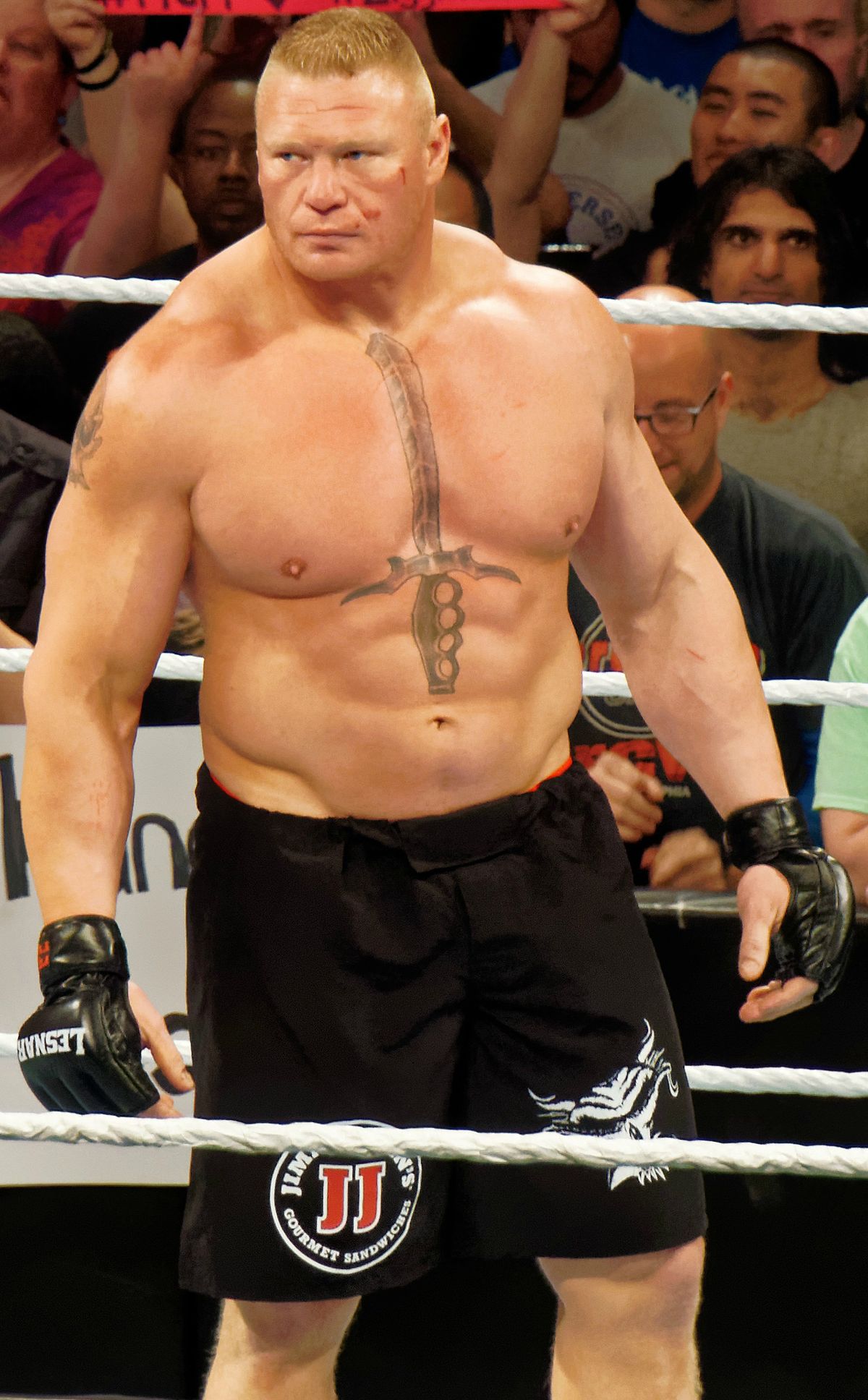 Brock Lesnar Age - Brock Lesnar - HD Wallpaper 