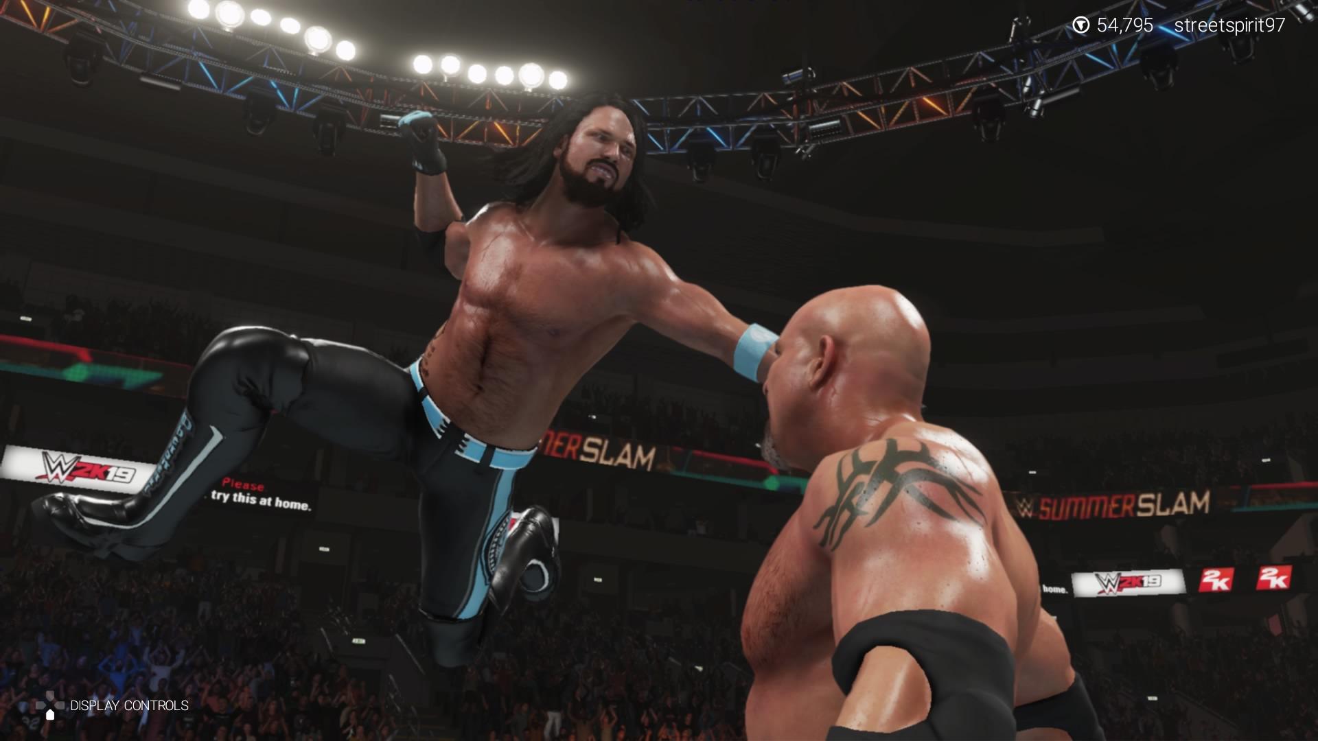 Professional Wrestling - HD Wallpaper 