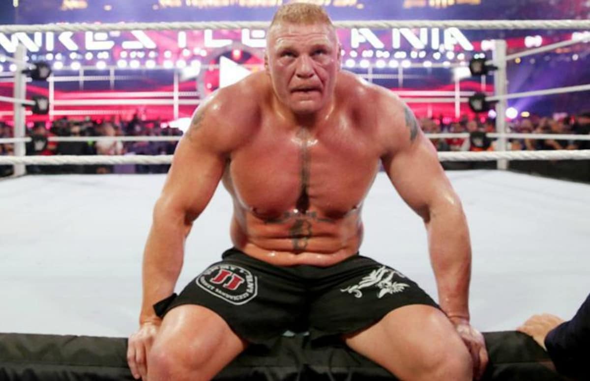 Brock Lesnar Images - Wwe Brock Lesnar Loss - HD Wallpaper 