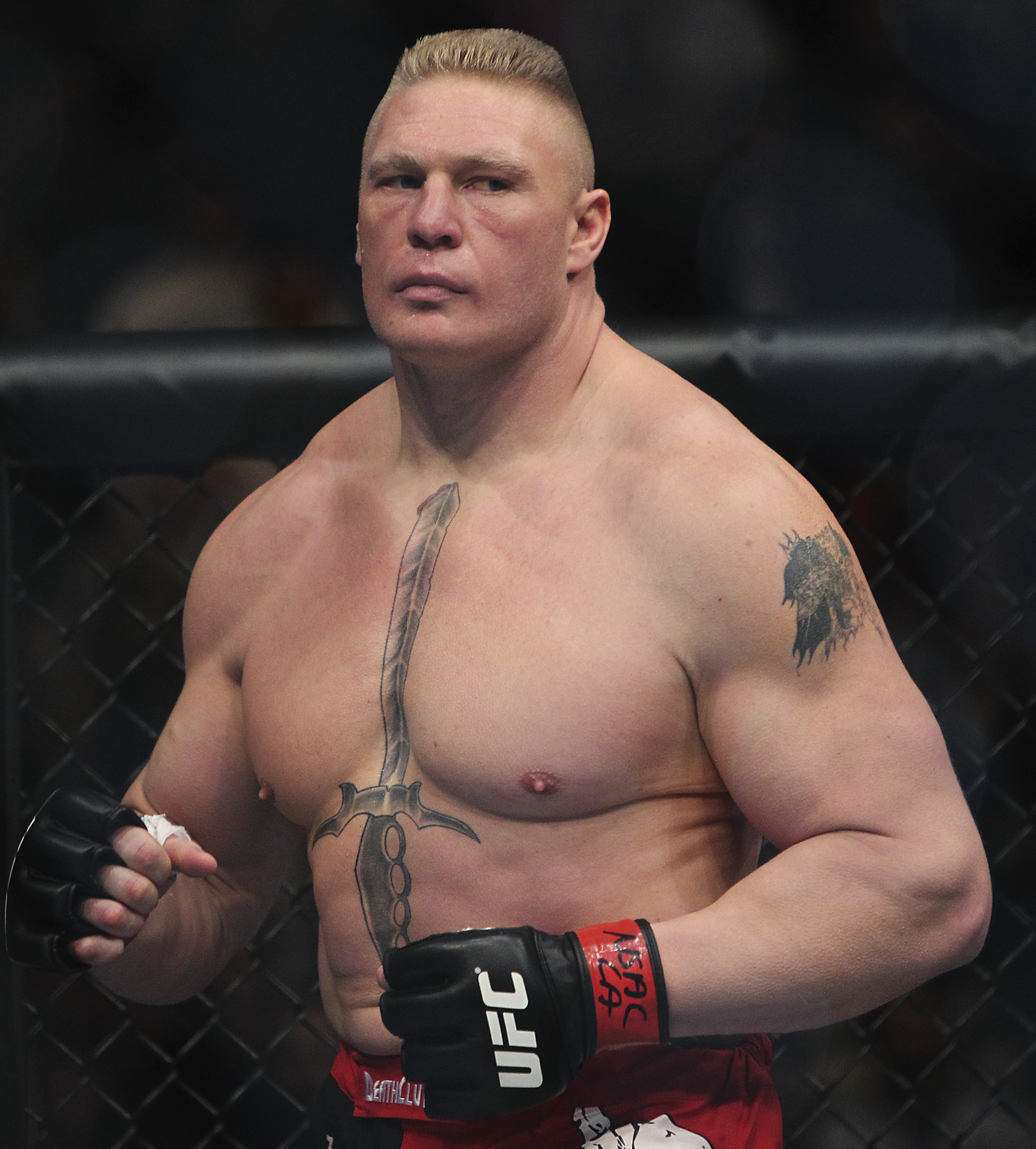 Preview Brock Lesnar - 2165x2400 Wallpaper Preview Brock Lesnar - 2165x2400 Wallpaper