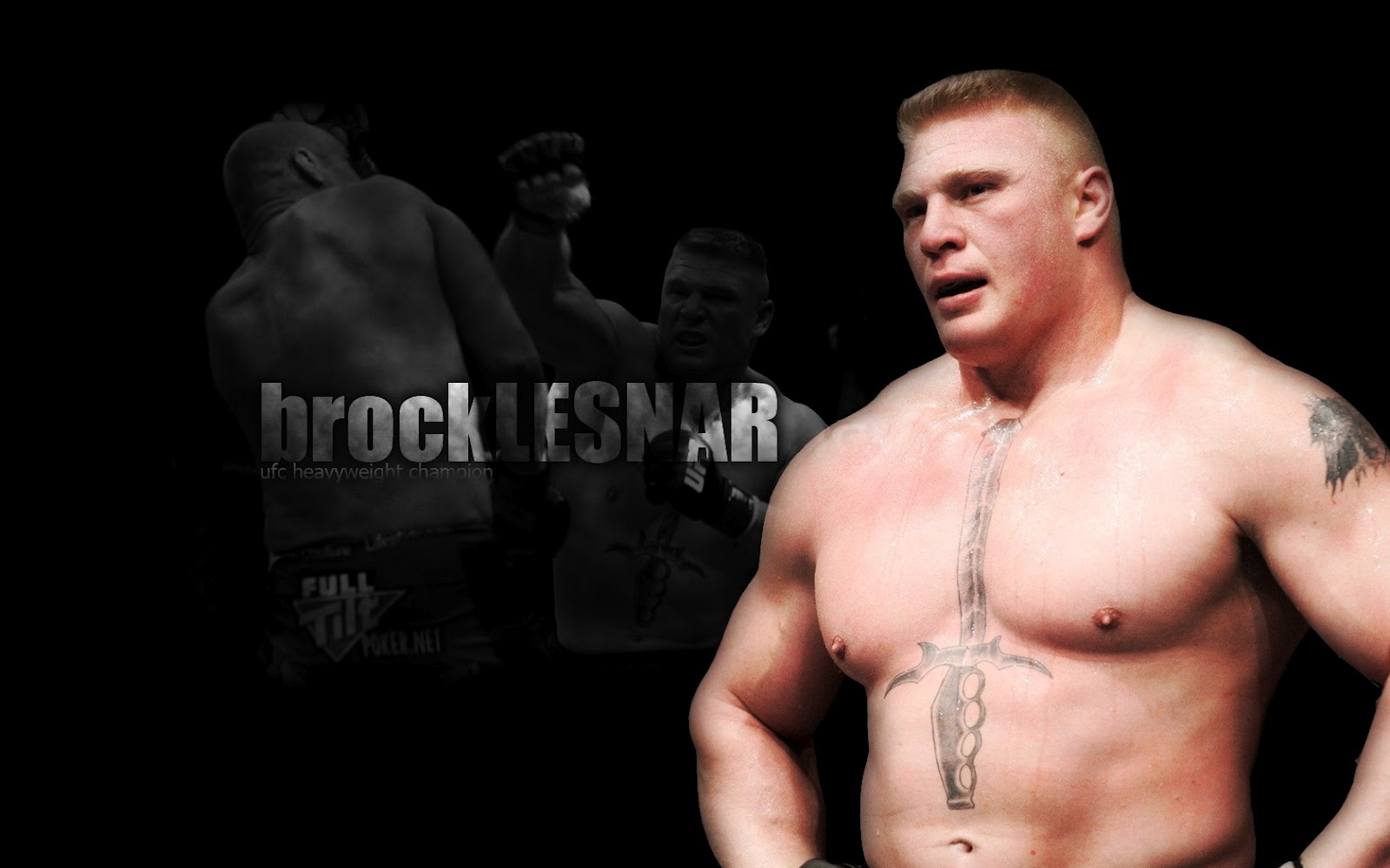 Brock Lesnar Body Pictures Hd - 1600x1000 Wallpaper Brock Lesnar Body Pictures Hd - 1600x1000 Wallpaper