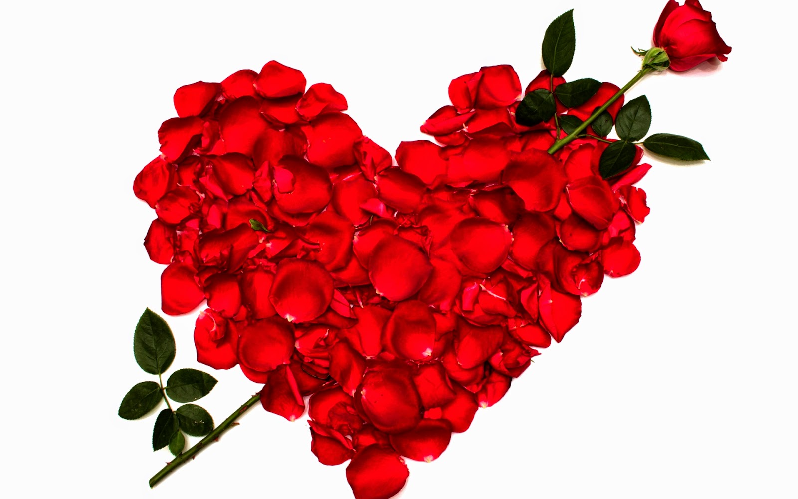 Red Heart Love Live Wallpaper Android Apps On Google - Happy Rose Day My Love - HD Wallpaper 